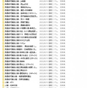 PR社考古：我是你可爱的小猫_史上最全合集