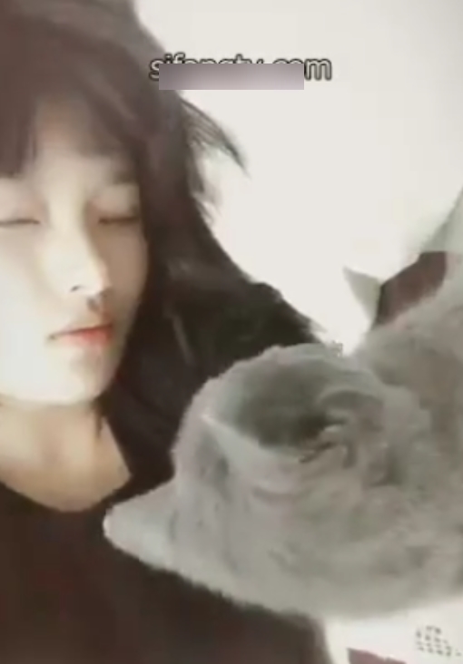 高倩分享19年和20年老资源，视频数量适中，收藏增加