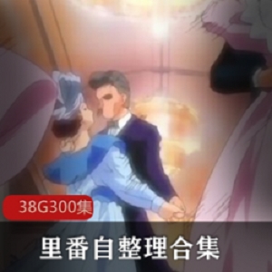 38G里番超级大礼包完全整理优质动画作品集