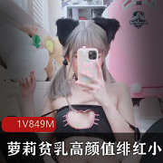 最新萝莉贫乳高颜值绯红小猫资源