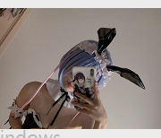 最新wink是可爱的wink资源