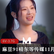 最新麻豆九妖精东等传媒11月24日更新作品