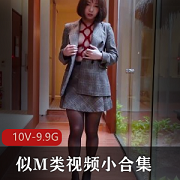 最新似M类视频小资源