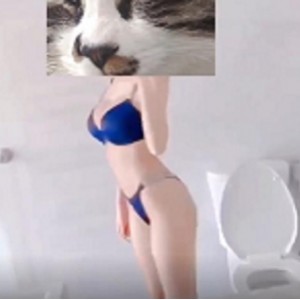 最新两大九妖大神-顶级网红女主播长腿黑丝超美萌妹