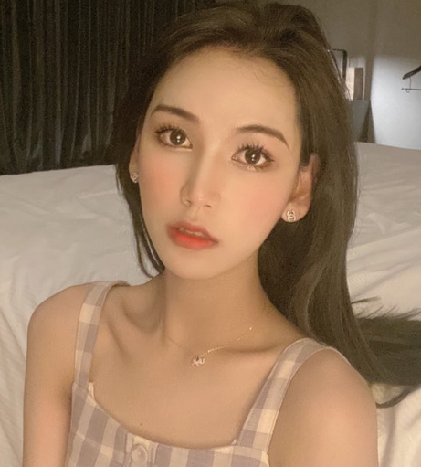 真假难辨Twitter《TS李智贤》精品合集