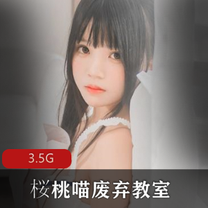 FL姬合集+桜桃喵+可爱娇小+爱丽丝的兔子废弃教室合集+视频数量不详+3.5G+致命武器,绅士必看