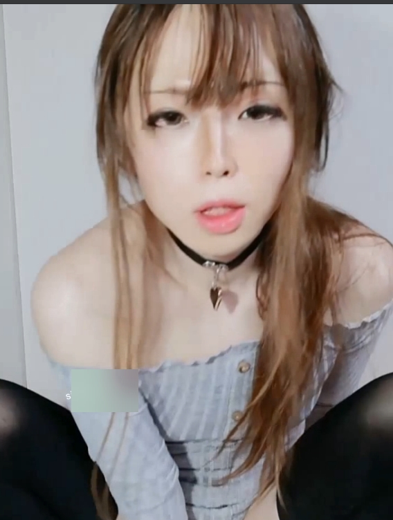 Pigmananal日本TS系列368V88GB优质