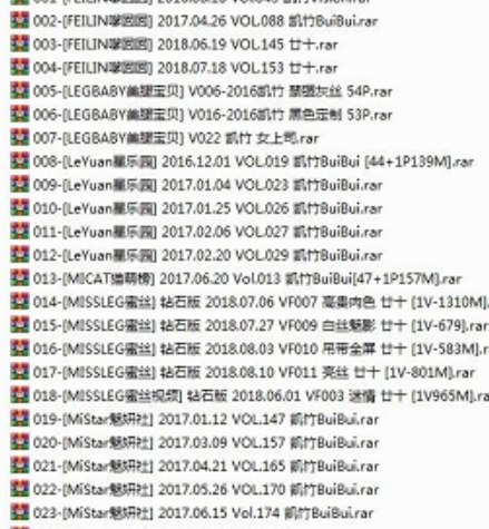 廿十FEILIN作品视频集8套17G精品