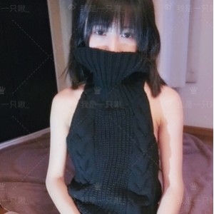 推特布丁大法绝密展示作品133套40.5g