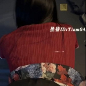 tiam闽南大神私藏福利154部视频24.4G惊艳展示