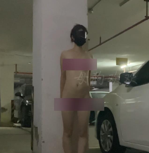 推特小狗欢欢夫妻自拍合集299部25.6G高清劲爆