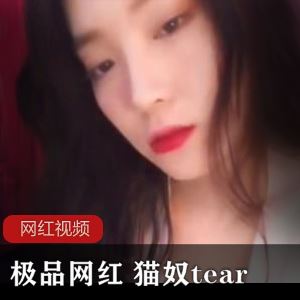 粉嫩猫奴tear妖娆舞姿合集11部3.24G太勾人了